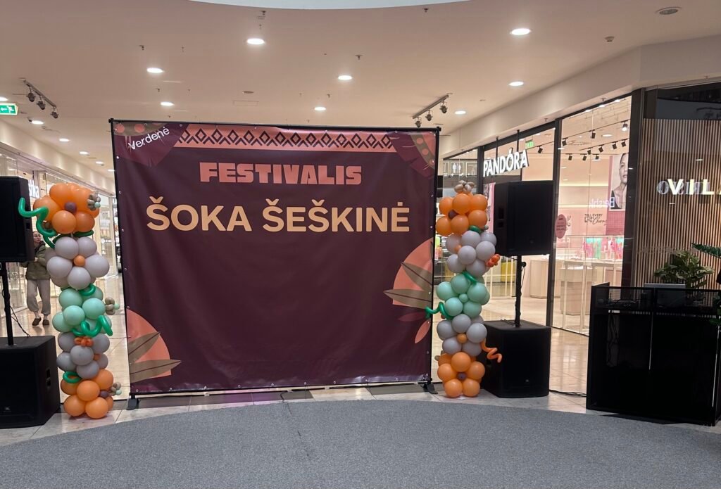 Profesionali renginių įranga